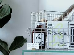 -常识咖啡common sense(春熙路店)