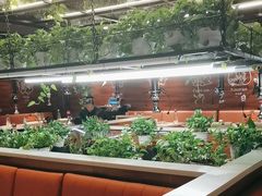 -猫爪爪原切自助烤肉(观音桥阳光世纪店)