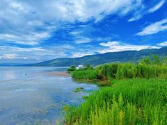 -阳宗海湿地