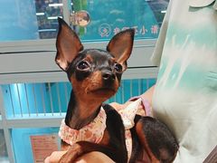 -FAELING PETS美天灵宠物(合生汇店)
