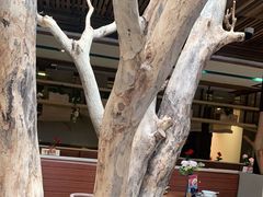 -渔太泰漓江小馆·广西融合菜(西街店)