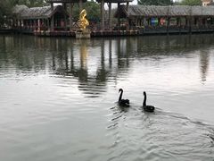 -深圳东部华侨城茵特拉根酒店