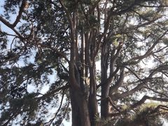 -终南山南五台景区