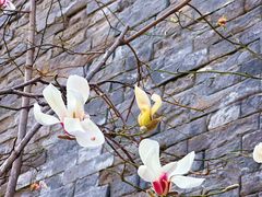 -东华门大街小区