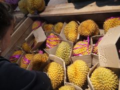 -沈阳市八家子水果批发市场