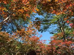 -广州市帽峰山景区