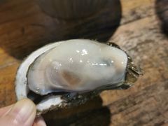 -八一湛江生蚝(文明东路总店)