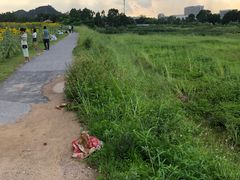 -光明小镇欢乐田园