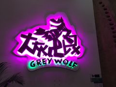 -大灰狼(中心书城店)
