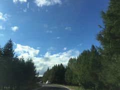 -塞罕坝国家级自然保护区