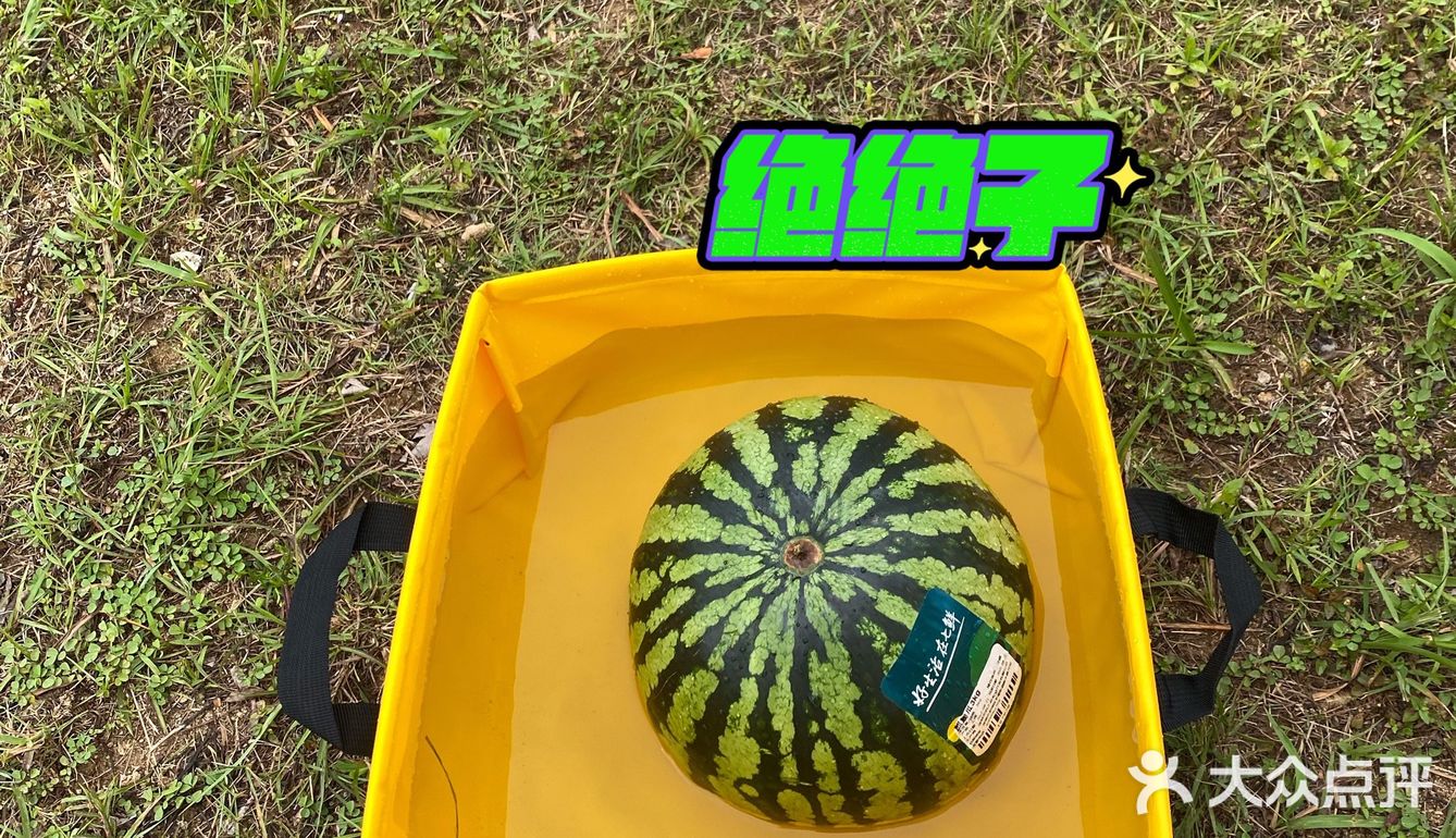 野营之松山湖站！