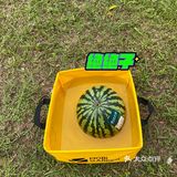 野营之松山湖站！