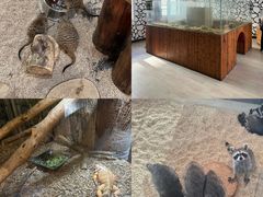 -海合安武汉极地海洋公园