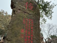 -无锡梅园公园