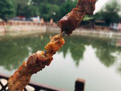 -尚庄度假村·庭台树下·户外烧烤·团建CS·轰趴营地(上庄水库店)