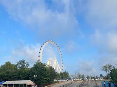 -日照海滨国家森林公园