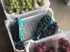 -马陆小张葡萄园农家乐