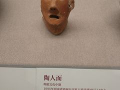 -北京大学赛克勒考古与艺术博物馆