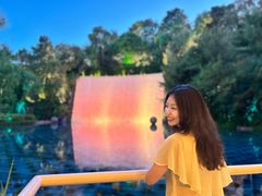 -拉斯维加斯永利酒店