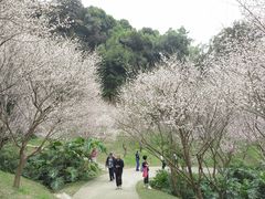 -广州市白云山风景名胜区