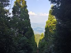 -江西阳明山国家森林公园