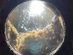 -珠海长隆海洋王国