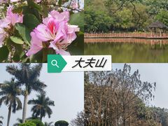 -番禺大夫山森林公园