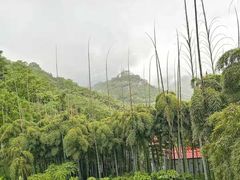 -莫干山风景区