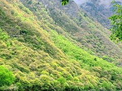 -叠溪松坪沟景区