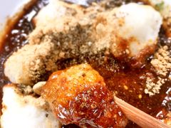 张醪糟-张醪糟