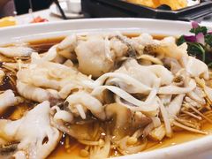 -刘胖子家常菜·蹄花焖藕(中南店)