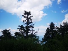 -武陵山森林公园