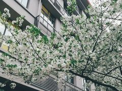 教学楼-四川大学(望江校区)