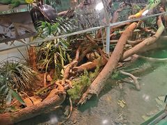 -上海大自然野生昆虫馆(东方明珠·爬宠昆虫探索中心)