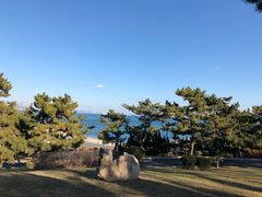 -棒棰岛宾馆景区