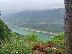 -铁山坪森林公园