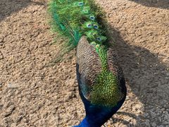 -水上乐园·欢乐世界