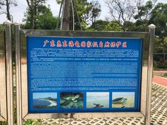 -广东惠东海龟国家级自然保护区
