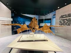 -北京周口店北京人遗址博物馆