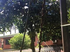 -侯臣咖啡文化村