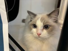 -猫遇摄影工作室