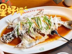 -丹江渔村(望京店)