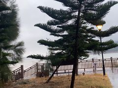 -大京沙滩