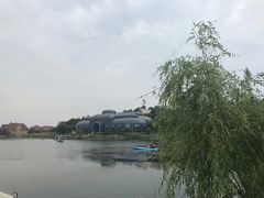 -大塘金香草谷