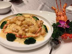 -顺德佬酒楼(愉龙店)