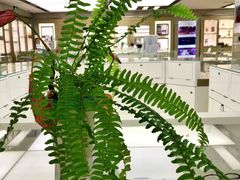 -美尔目眼科医院·近视手术·儿童近视(通州店)