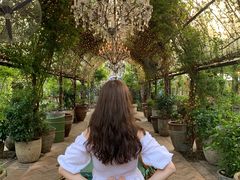 -The Grounds of Alexandria