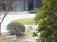 -唐御宴•御宴宫•唐代菜点(芙蓉西路店)