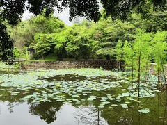 -广州市白云山风景名胜区