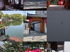 -张鸟园农家乐(张鸟园店)